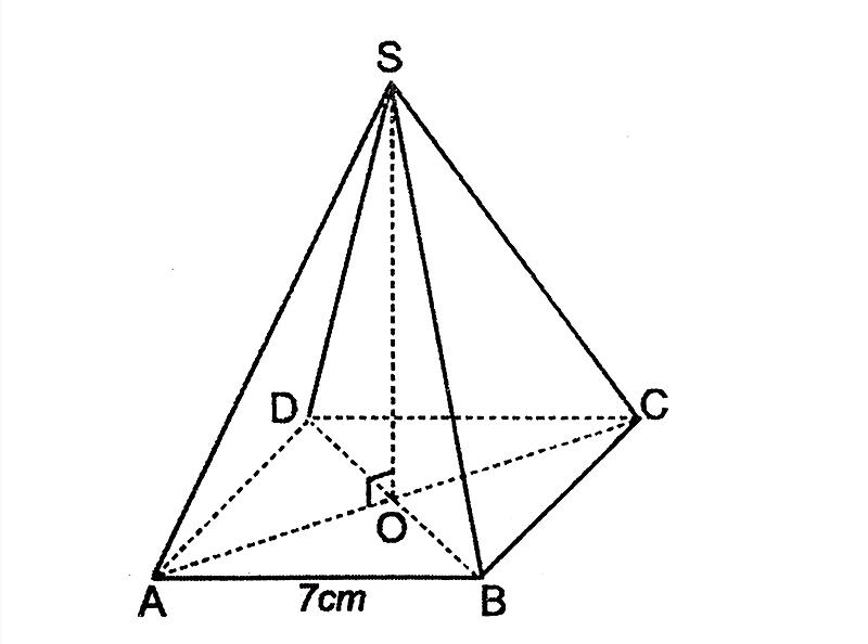 Cho hình chóp tứ giác đều S  A B C D có độ dài cạnh đáy bằng 2 và độ dài  cạnh